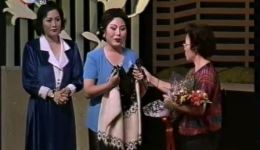 1998年沪剧专场《玉兰琴韵》冯大琴演绎丁是娥流派艺术全本下载下载
