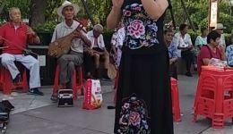 杨秀英进京