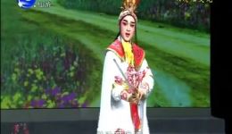 双枪陆文龙