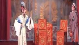 楚剧《珍珠塔》全本视频下载 - 周萍阶姜金安主演经典戏曲MP4/MP3资源下载