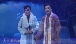 黄梅戏《风尘女画家》经典选段下载，孙娟余顺演唱，全场精彩呈现下载