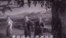 经典老版黄梅戏《天仙配》全剧下载 - 严凤英王少舫主演高清资源下载
