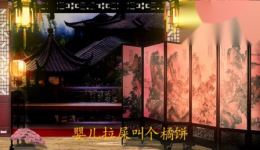 对药名