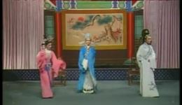 真假女婿