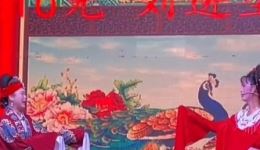 宁都采茶戏《寿诞记》全本MP4下载｜谭树华等主演高清戏曲资源