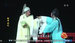 御审状元