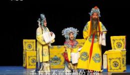 评剧筱派《打金枝》全剧视频MP4下载（有字幕）-林童主演高清资源下载