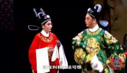 黄梅戏《女驸马》全剧字幕版下载余淑华陈邦靓主演，安庆再芬黄梅艺术剧院精品呈现下载