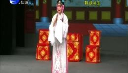 鹦鹉风波