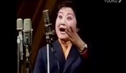 陈仁义等24位秦腔老艺人演唱集锦视频MP4资源下载，畅享秦腔经典