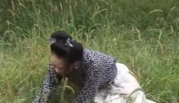 血泪龙凤帕