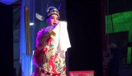 婺剧《三请梨花》全本字幕版高清MP4下载，楼胜陈丽俐主演，浙江婺剧团经典演绎下载