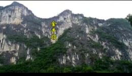斩岳飞