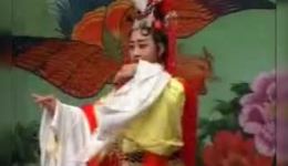 北方坠剧《王宝童告状》全本戏曲视频mp4下载，经典坠剧资源免费获取