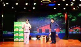 黄梅戏《一树花开》高清MP4戏曲视频资源下载，经典剧目完整呈现