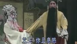 豫剧《打金枝》全剧高清下载｜刘忠河黄爱菊经典演绎，唐宫恩怨戏曲资源下载