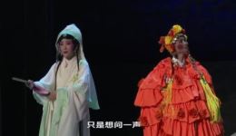 黄梅戏《浮生六记》全场高清视频MP4下载，吴美莲马腾主演，经典爱情戏曲资源下载