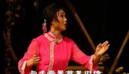 粤剧《野金菊》全剧视频MP4下载 梁淑卿钟康祺欧凯明主演经典戏曲资源下载