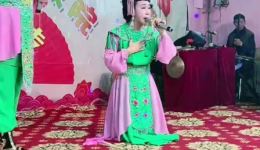 二人转《包公铡侄》孙娇娇王冬演唱戏曲视频MP4下载-东北二人转正戏资源下载