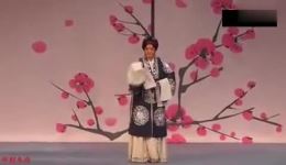 雪玉冰霜