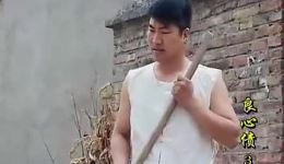 良心债