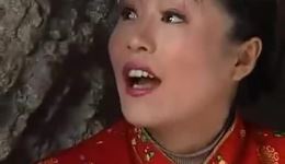 民间小调《芳草泪》全剧mp4下载 - 12集完整版戏曲视频资源下载