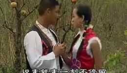 摘石榴