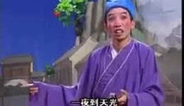 衡阳花鼓戏《傻哥拜寿》全集下载，高清mp4资源，麻望财武少峰主演戏曲视频