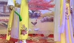 二人转《楼台会》片段下载谭娟沈洪飞演唱，高清戏曲mp4资源免费获取下载