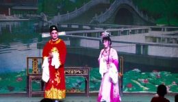 寒梅芳心