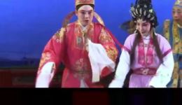 粤剧《二八娇妻一岁郎》全剧下载 - 潘国荣肖映媚主演 艳阳天粤剧团下载