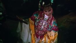 云中落绣鞋