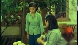 三全其美