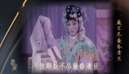 宋长荣京剧《红娘·传柬》高清戏曲视频mp4下载 - 经典典藏版
