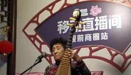 苏州评弹《黛玉焚稿》戏曲视频mp4下载，经典弹词开篇高清资源