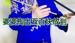京东大鼓《为这样的婆婆点赞》薛宗来演唱，家庭伦理佳作在线下载