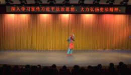 京剧《对花枪》全剧下载 - 海阳市京剧团经典剧目在线观看