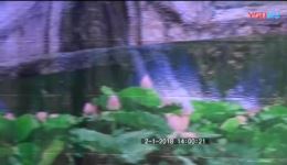 上海彩芳沪剧团王秀君个人沪剧演唱会高清资源下载，经典沪剧唱段精选，沪剧迷必看下载