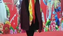 何花演唱琴书《三女婿拜寿》全集下载 - 经典民间琴书戏曲资源在线获取