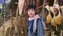 忠孝节义之孝感动天