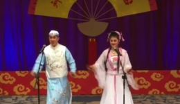 王美容观花