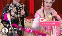 刘金定观星