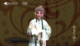 京剧《凤还巢》史依弘精彩演绎，经典戏曲在线观看下载下载