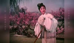 越剧经典《红楼梦》高清全剧字幕版下载，徐玉兰王文娟领衔主演，珍藏资源一键获取下载
