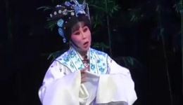 淮剧《红尘遗恨》下集高清下载 程红王雷主演 悲情经典全本资源