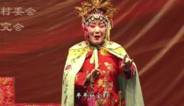怀梆传统历史剧《李彦龙征南》全集视频mp4下载，苏宝全刘有才精彩演绎