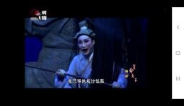 锡剧《草命天子》全剧下载 - 周东亮董云华主演高清资源下载