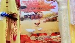 二人转正戏《西厢苑》易博悦悦演唱，经典戏曲mp4视频下载下载