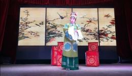 坠剧《包公出世》戏曲视频mp4下载，河北深泽坠剧团经典演绎