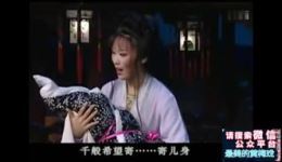 安徽黄梅戏《罗帕记》全剧视频下载，高清mp4戏曲资源，经典地方戏曲在线观看